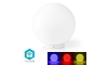 LED RGBW Stmievateľná stolná lampa SmartLife LED/5W/5V Wi-Fi 2700-6500K
